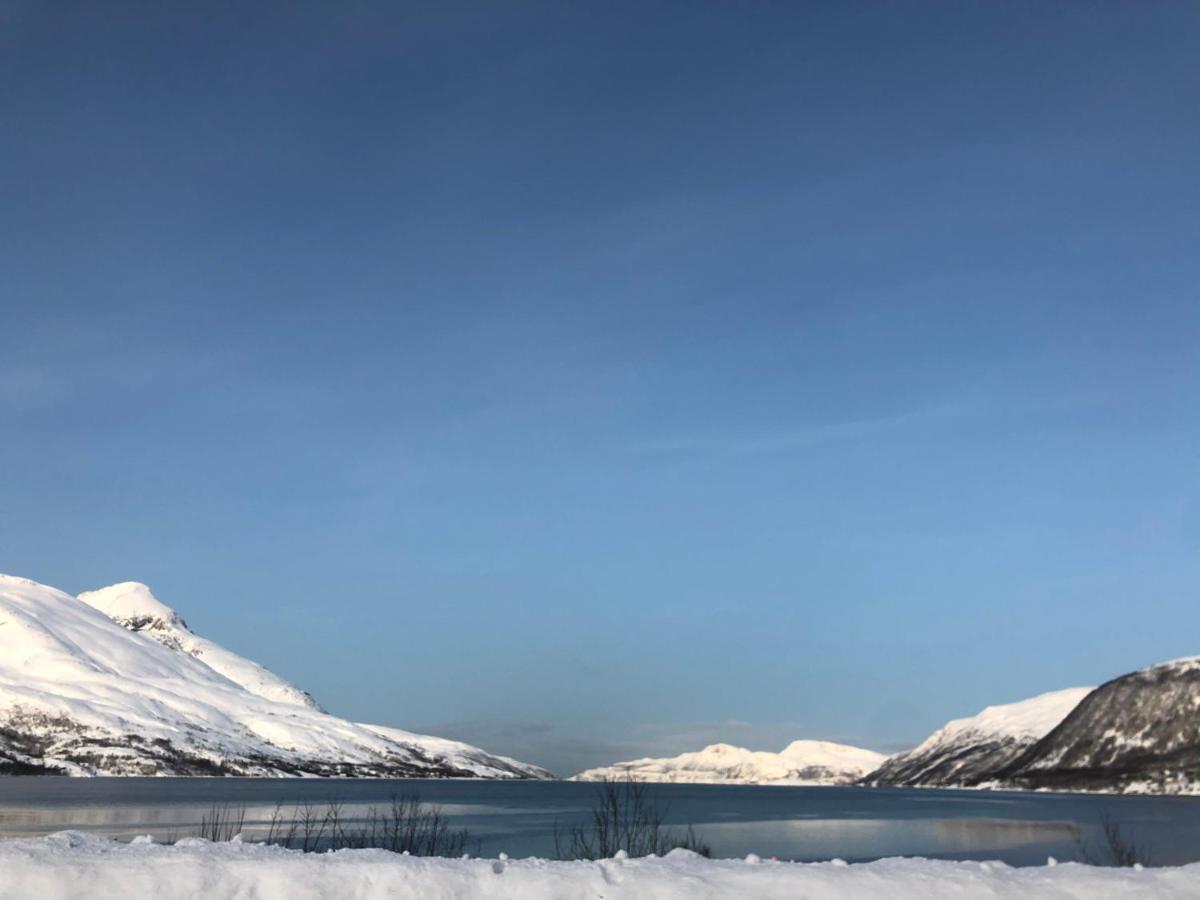 Melishome: Aurora Observatory Tromso Bagian luar foto