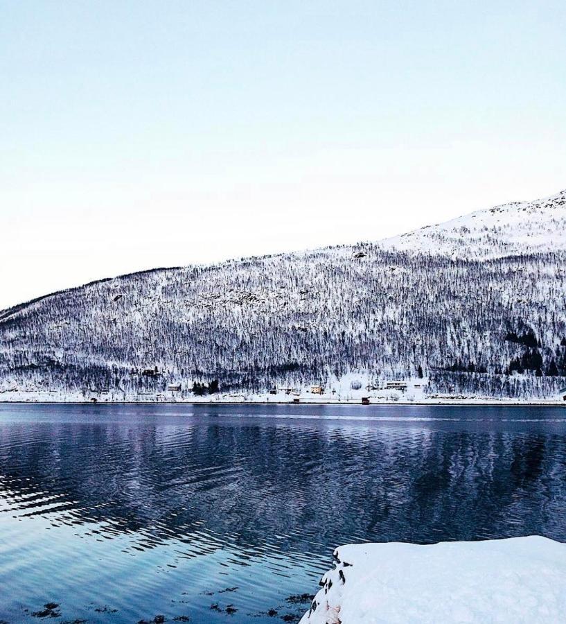 Melishome: Aurora Observatory Tromso Bagian luar foto