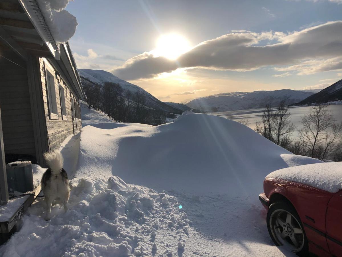 Melishome: Aurora Observatory Tromso Bagian luar foto