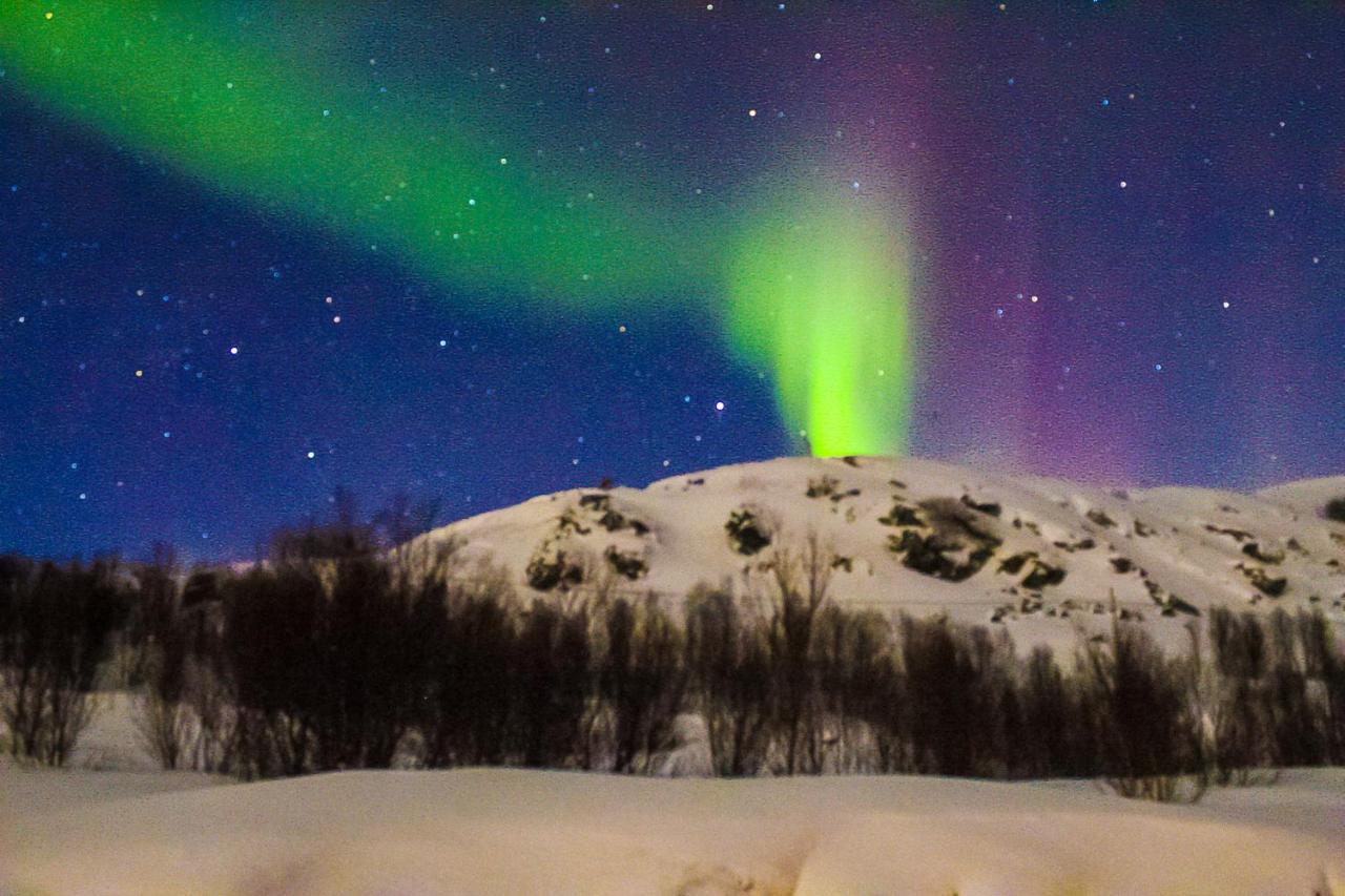 Melishome: Aurora Observatory Tromso Bagian luar foto